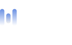 wiesoWeb logo dark mode