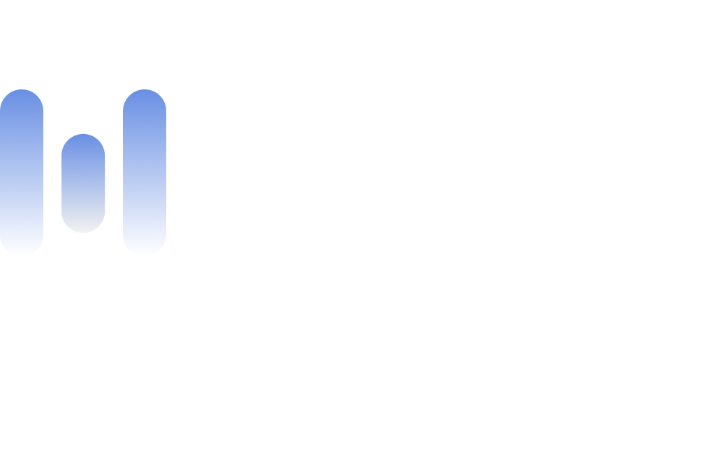 wiesoWeb logo dark mode